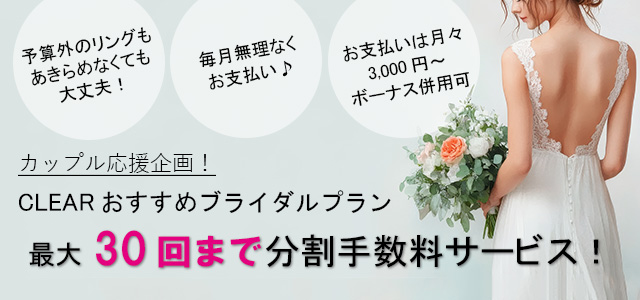 CLEARでは30回まで分割手数料が無料です
