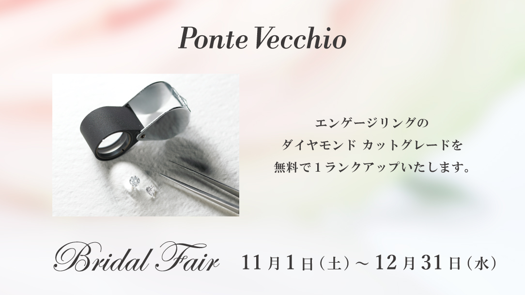 ダイヤモンドカットアップグレード