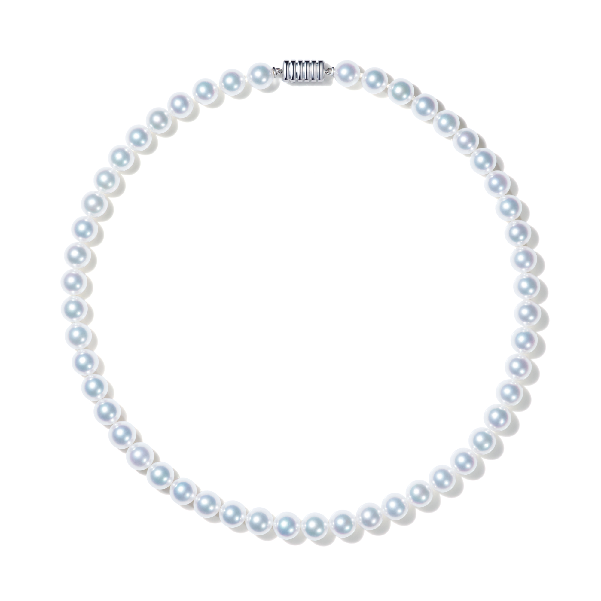 CLEARが紹介するNIWAKA SHIROSUMIKA