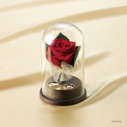 Beauty and the Beast Timeless Grace（SR） 結婚指輪・婚約指輪セット｜CLEAR（3）
